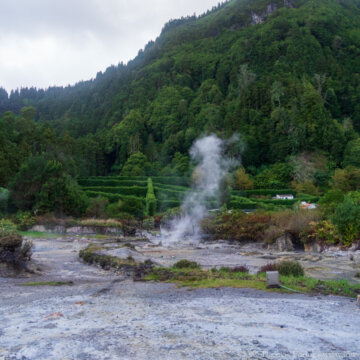 Day-8-15-November-2024-Friday-Fumarolas_Furnas_Lagoon_Sao_Miguel_Portugal-1