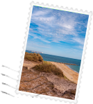 stamp